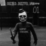 Bugreport_DISCO_DISTEL_02_2016