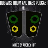 Dubwise Drum and Bass Podcast #1 mixed by Andrey HoT
