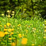Claes Rosen - July 2014 Mix