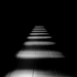 graceful silence