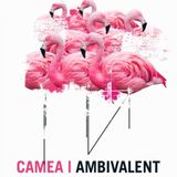 Ambivalent @ Treehouse Miami (29-06-2012)