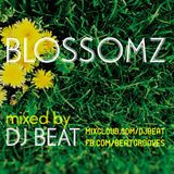 BLOSSOMZ - by DJ BEAT