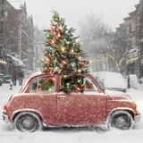 Christmas special Sping Swing