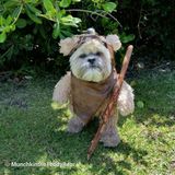 HAPPY HALF THE TIME #08 - may the 4th be with you !