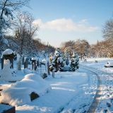 Book and Record Bar - 24th December 2015 - Xmas