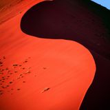 Desert expedition #7