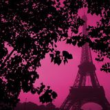 Soft Music - Souvenirs de Paris