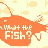 What The Fish - Episode 4