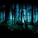 Attack Of The Coranin Wolves (techstep darkstep jungle mix)