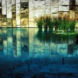 Dive Into The Garden
