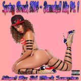 Spring Break 2014 - Dancehall Mix Pt. 1 (New Tunes)
