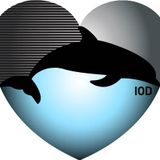 These games we play. IOD - POD CAST