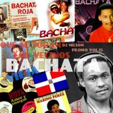 DJ NILSON BACHATA VIEJA PROMO / QUE SE JODAN LOS VEECINOS