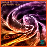 Harmony #001