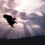 Heavenly Riddim-Promo mix