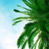 Double Wave - SUNANDBASS 2014 Dj Competition Mix