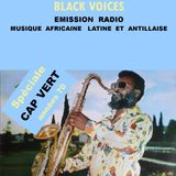 CAP VERT GROOVE années 70