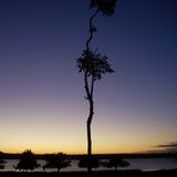 Deep Ambient Mix