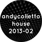 andycolletto house 2013-02