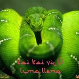 Kai Kai Vilú _ Luna Llena We Tripantu