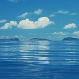 The 6 Chrysanthemums, Volume #13 - "Like islands in the sea"