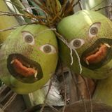 Midget Ninjas Soundsystem - The Coconut Dwarfs (live mix)
