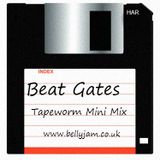 16MAR13 - Tapeworm Mini Mix - Beat Gates
