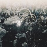 Kostav - Morning Haze