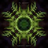 DJane Yaleeni - Subcell Spell ( Forest Psytrance )