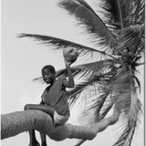 L. Luke Skywalking Travels #7: An Ode to Coconut