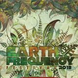 D-sens @ Earth Frequency Festival 2013