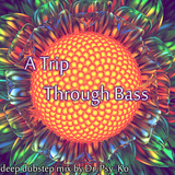 A Trip Through Bass
