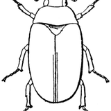 MrScorpio's HOUSE FIRE Podcast #112 - The June Bug Edition Part II - 19 Jun 2015