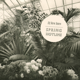 SPRING HOTLINE