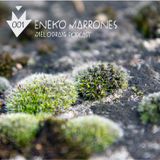 Melodram Podcast 001 by Eneko Marrones