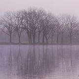 Otz - November Fog