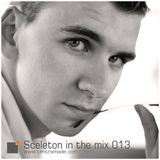 Sceleton in the mix 013