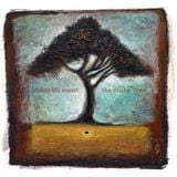 Zoon van snooK '(Falling from) The Nutty Tree' LP