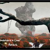 Awacs_Somewhere In Time