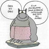 septembre 2014 : les régimes amaigrissants