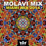 MOLAVI MIX - MIAMI MIX 2014