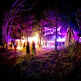 Tribal Rhythms psybient/psychill set