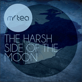 The Harsh Side Of The Moon
