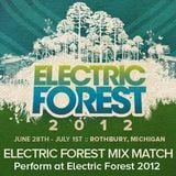 Electric Forest Mix Match 2012