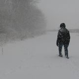 A winter's dub