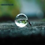 Mikedeluxe - Liquid inspiration II