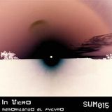 In Vitro - Memorizando el futuro