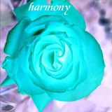 acoustic guitar+harmony