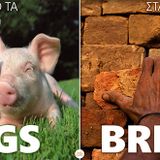 Infowar | #32 | 17-05-2015 | Από τα PIGS στα BRICS