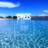 SLWN Mixtape 2015 (05/07/2015) - Chillin'